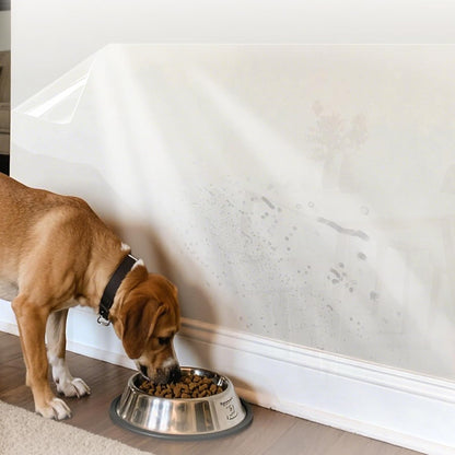 Cavyno™ - Clear Wall Protection Film